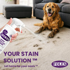FOLEX Instant Carpet Spot Remover - Stain Removal

