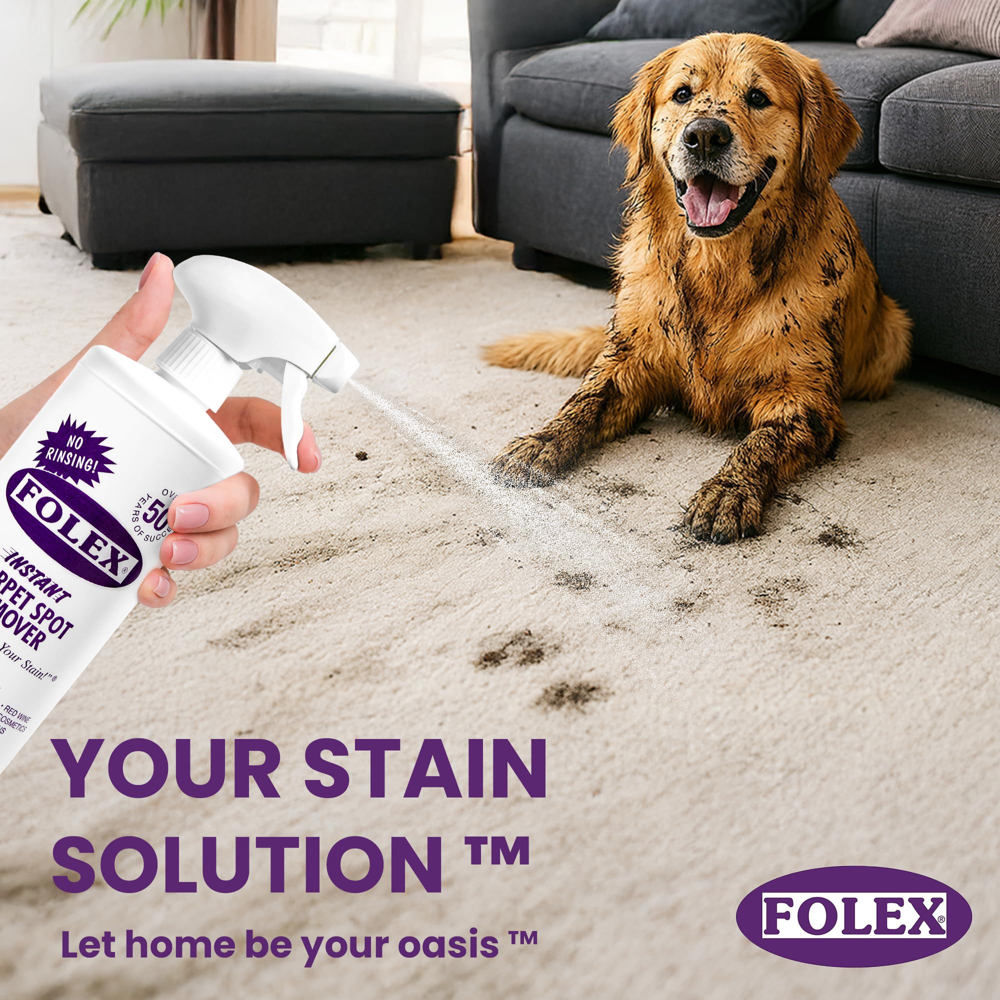 FOLEX Instant Carpet Spot Remover - Stain Removal

