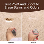 Bull Shot Carpet Spot & Stain Remover - Foam-Based Formula

