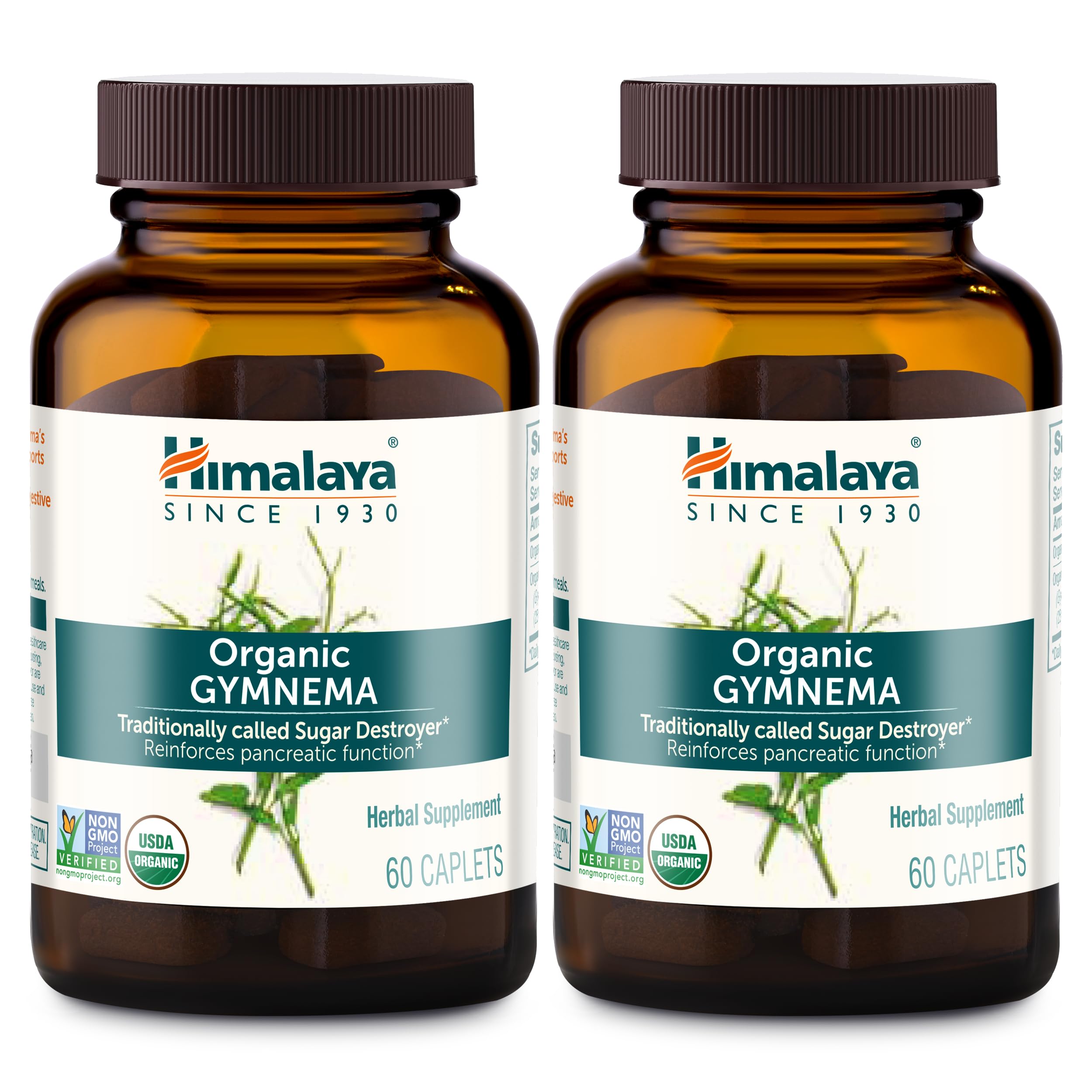 Himalaya Gymnema Sylvestre Extract 700mg Organic Ayurvedic Supplement