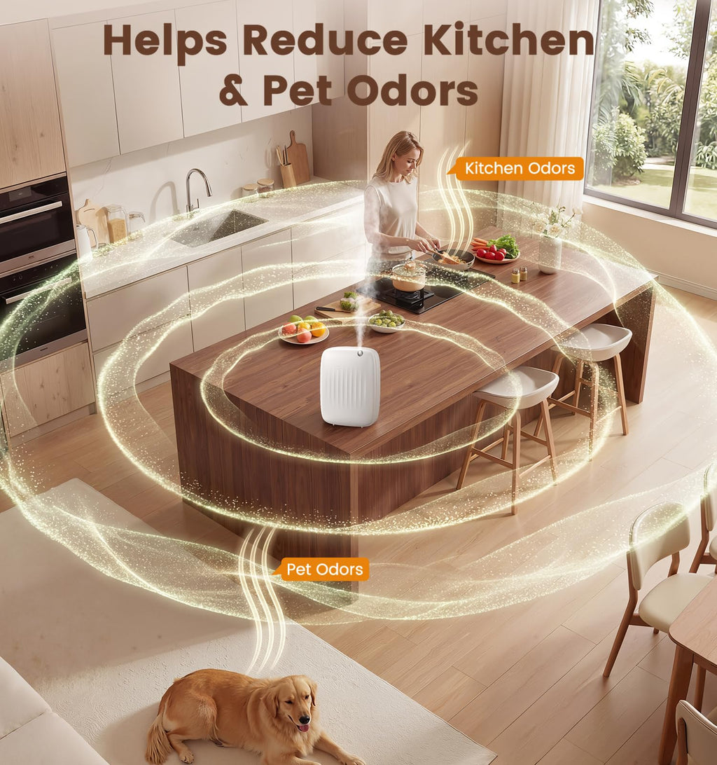 Ziweo Waterless Essential Oil Diffuser | Whole Home

