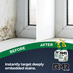 RMR-86 Instant Mold and Mildew Stain Remover Spray

