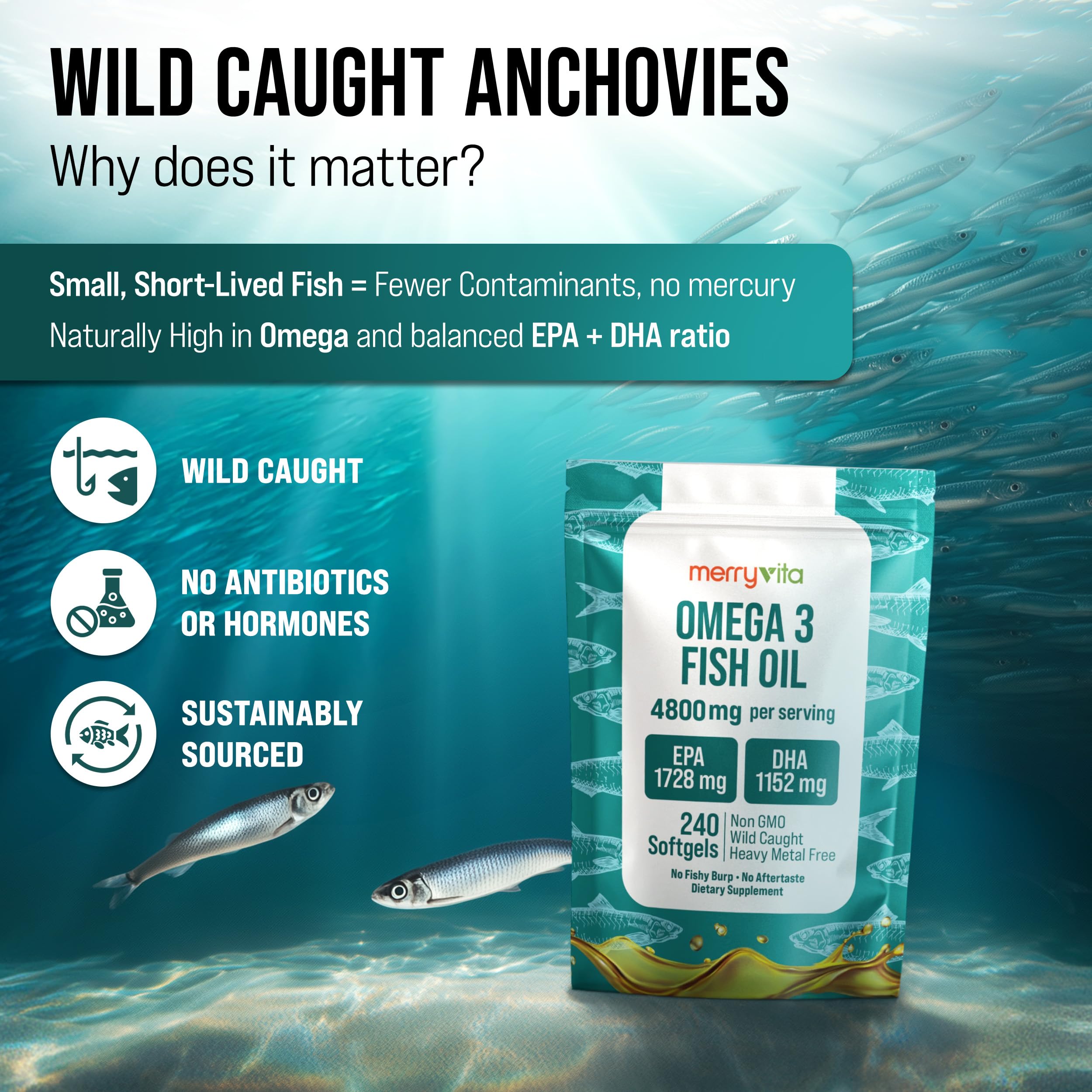MerryVita Omega-3 Fish Oil Softgels Burpless

