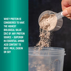 NOW Foods Whey Protein Concentrate with BCAAs - Unflavored

