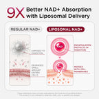 NAD+ Supplement for Women by Selerb | Energy & Skin Health

