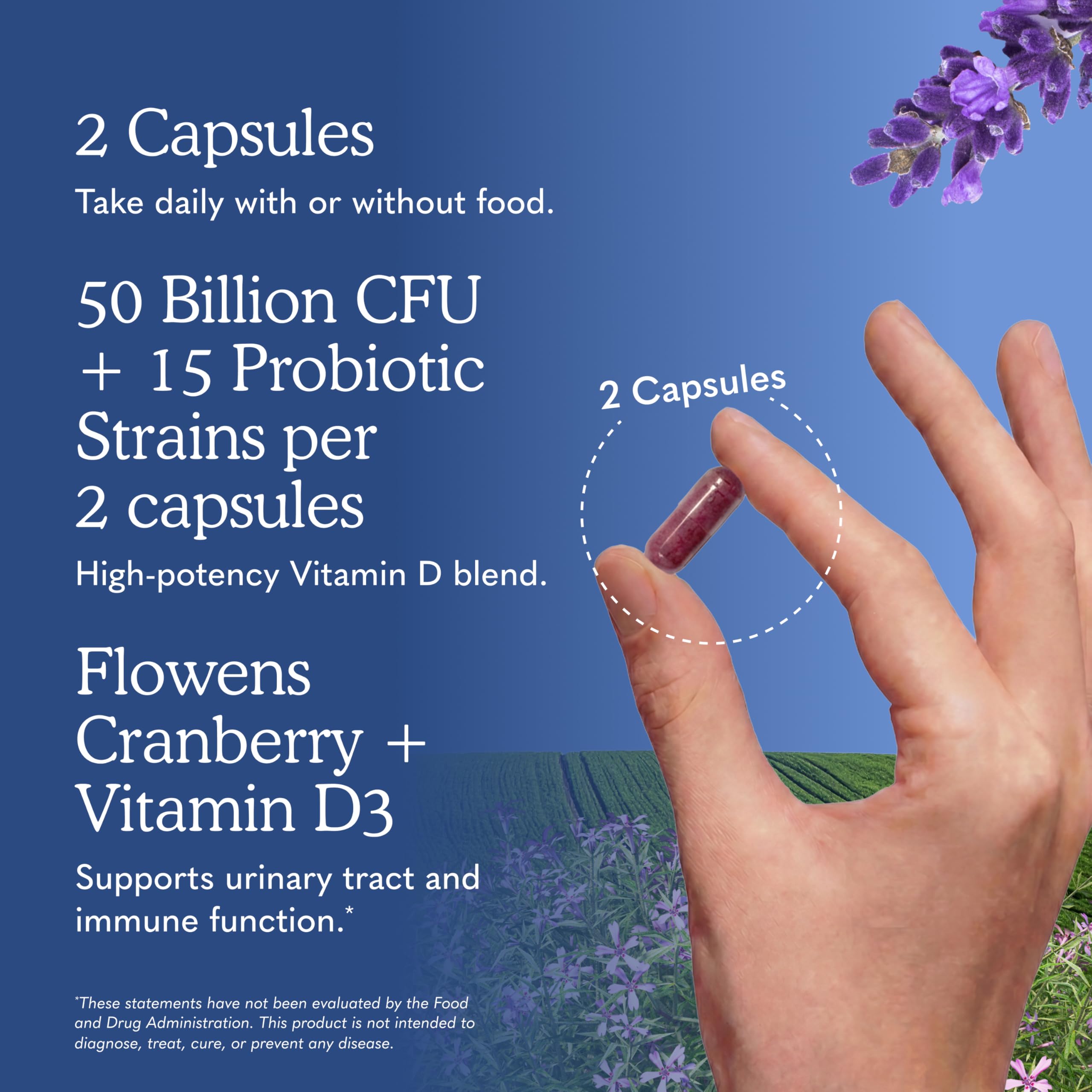Garden of Life Prostate Plus Probiotic Vcap

