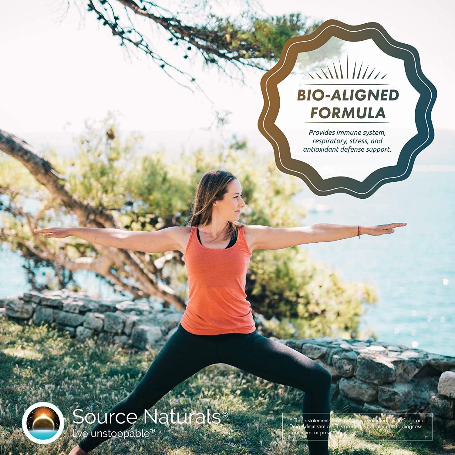 Source Naturals Wellness Formula Immune Support

