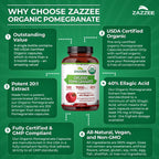 Zazzee Plant-Based Extract Supplement

