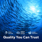 Micro Ingredients Omega-3 Fish Oil Softgels

