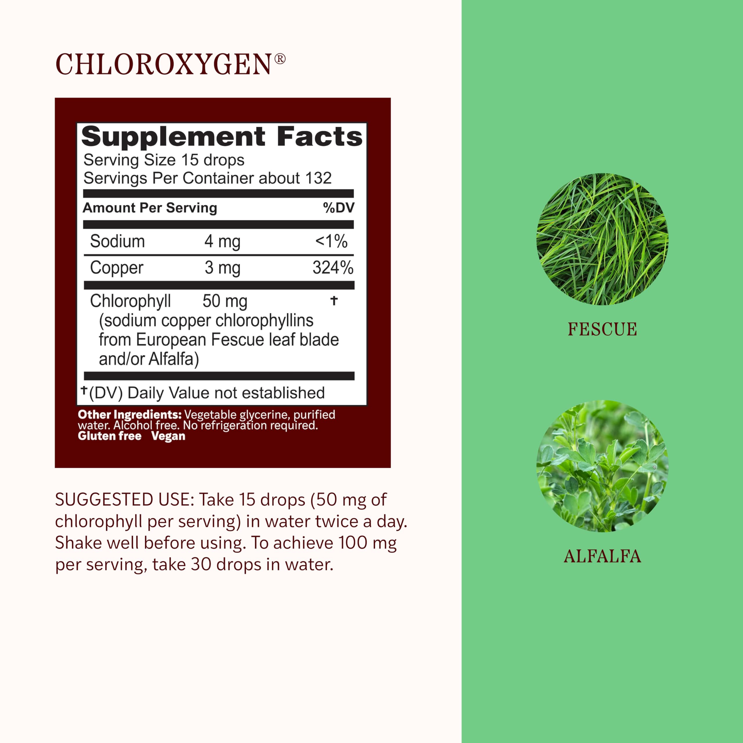 Herbs Etc. ChlorOxygen Chlorophyll Drops Alcohol-Free

