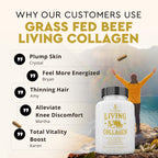 Collagen for Skin Hair Nails by Ancestral Supplements

