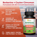 Berberine with Cinnamon by aSquared Nutrition | Max Strength

