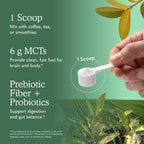 Garden of Life Organic MCT Powder with Coconut MCTs

