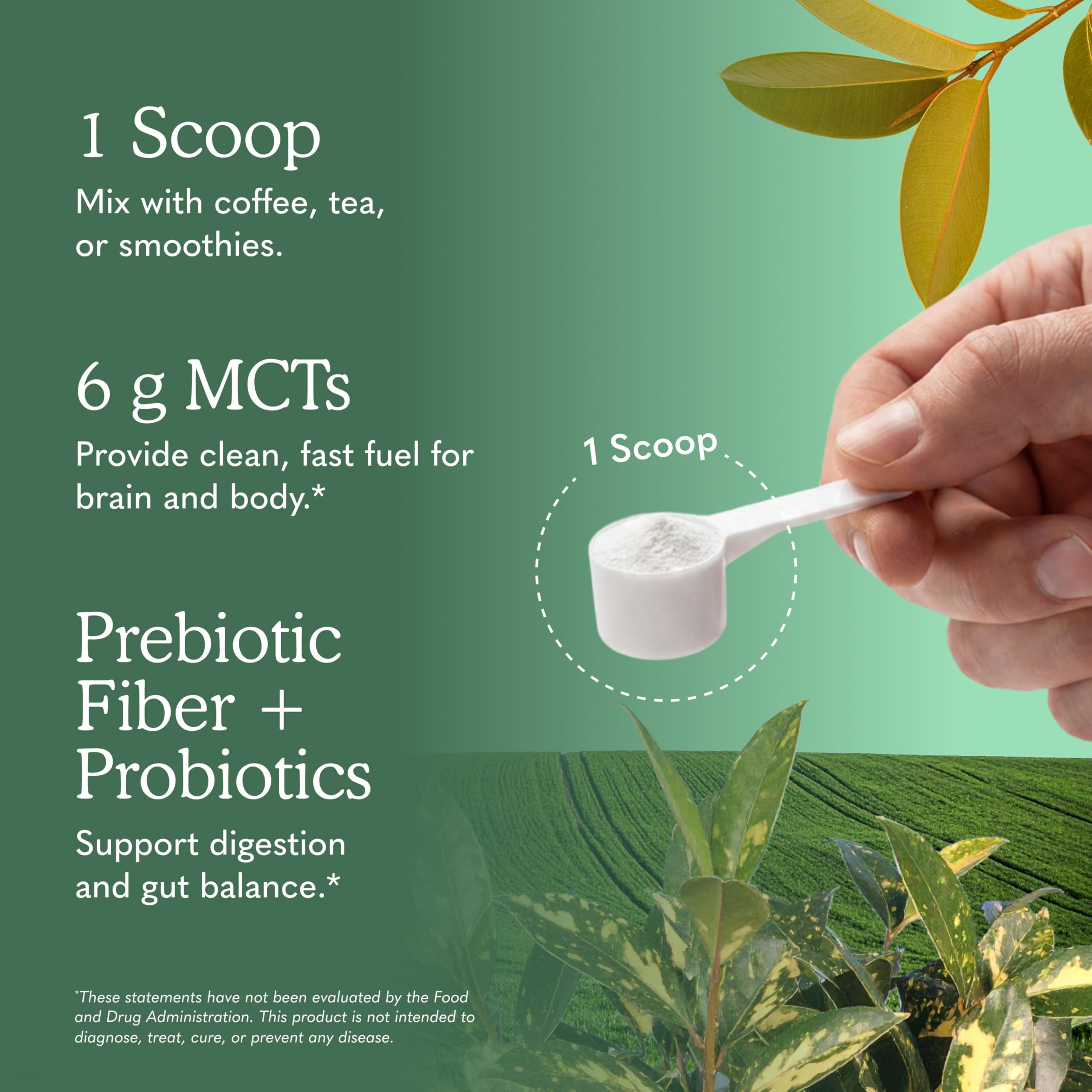 Garden of Life Organic MCT Powder with Coconut MCTs


