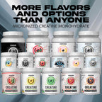 Ekkovision Creatine Monohydrate Powder Micronized

