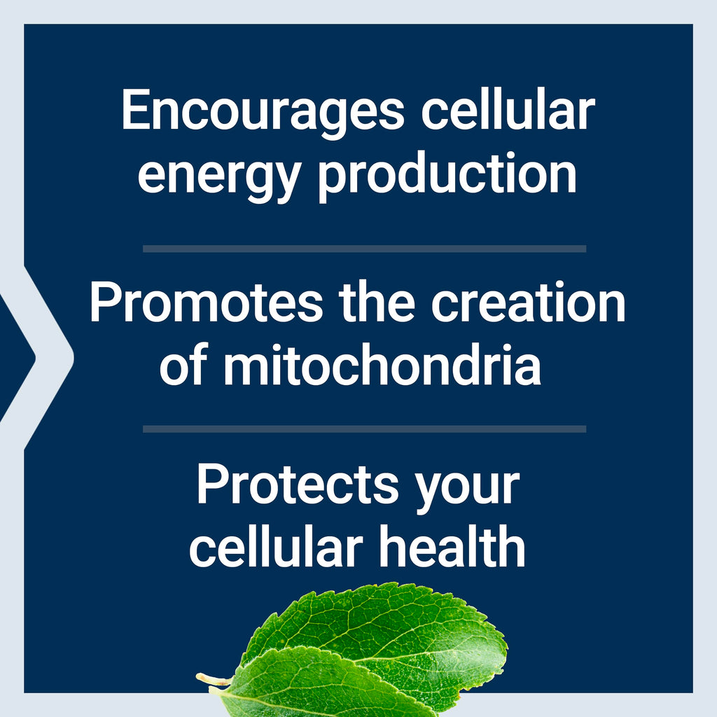 Life Extension Mitochondrial Energy Optimizer with PQQ

