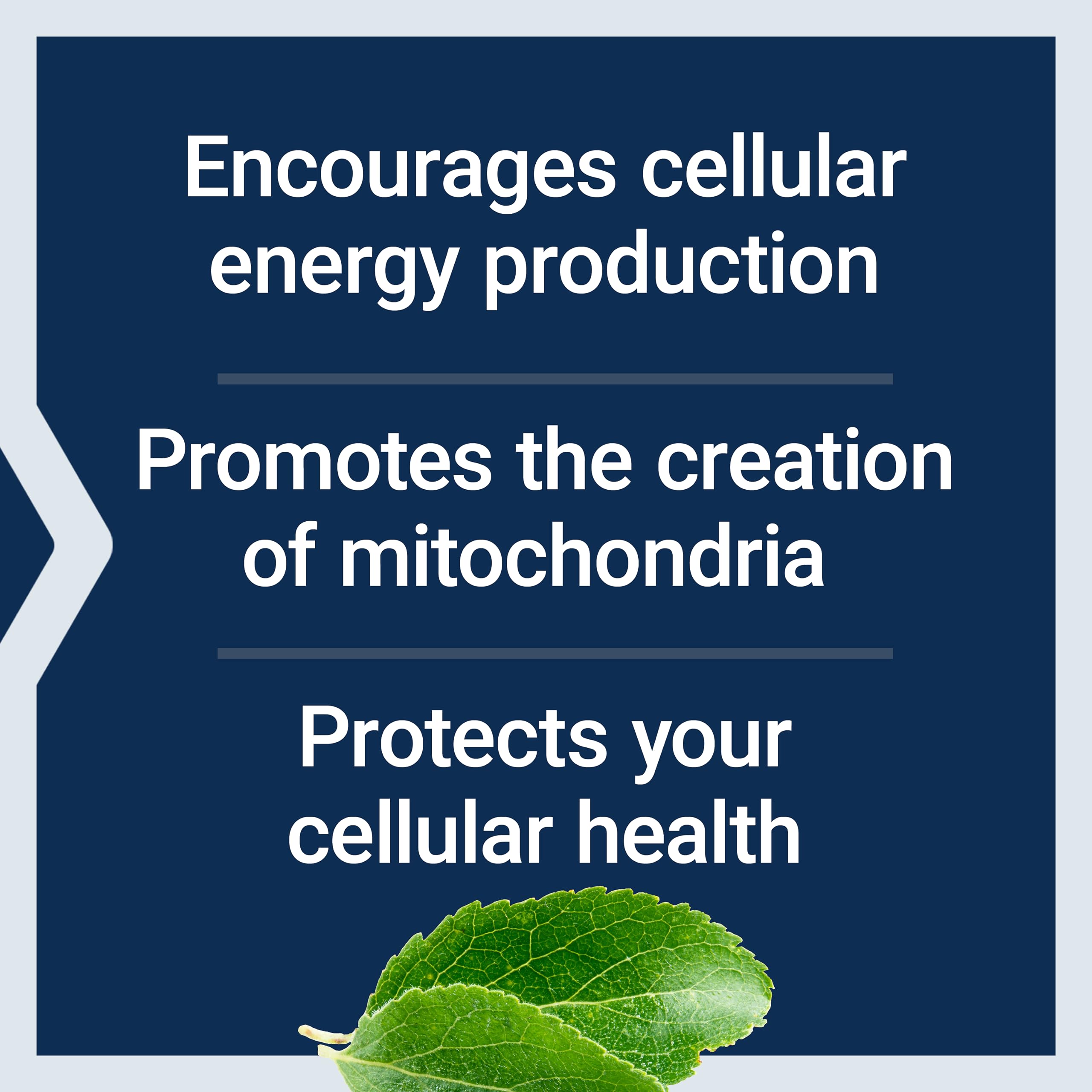 Life Extension Mitochondrial Energy Optimizer with PQQ

