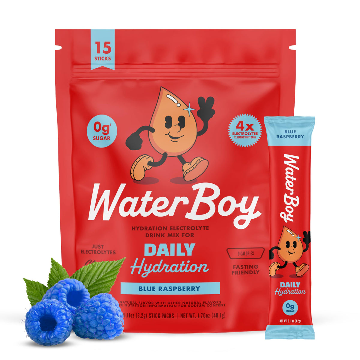 WaterBoy Daily Hydration Electrolyte Powder Drink Mix