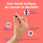 NativePath Antarctic Krill Oil Softgels EPA DHA Astaxanthin

