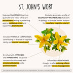 Joy-Filled Mood Support - 7-Herb Plant-Based


