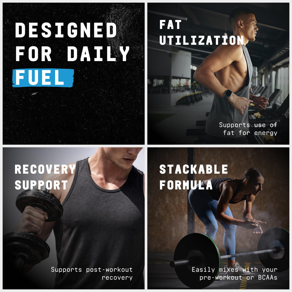 Beyond Raw L-Carnitine Powder | Fatty Acid Metabolism

