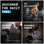 Beyond Raw L-Carnitine Powder | Fatty Acid Metabolism

