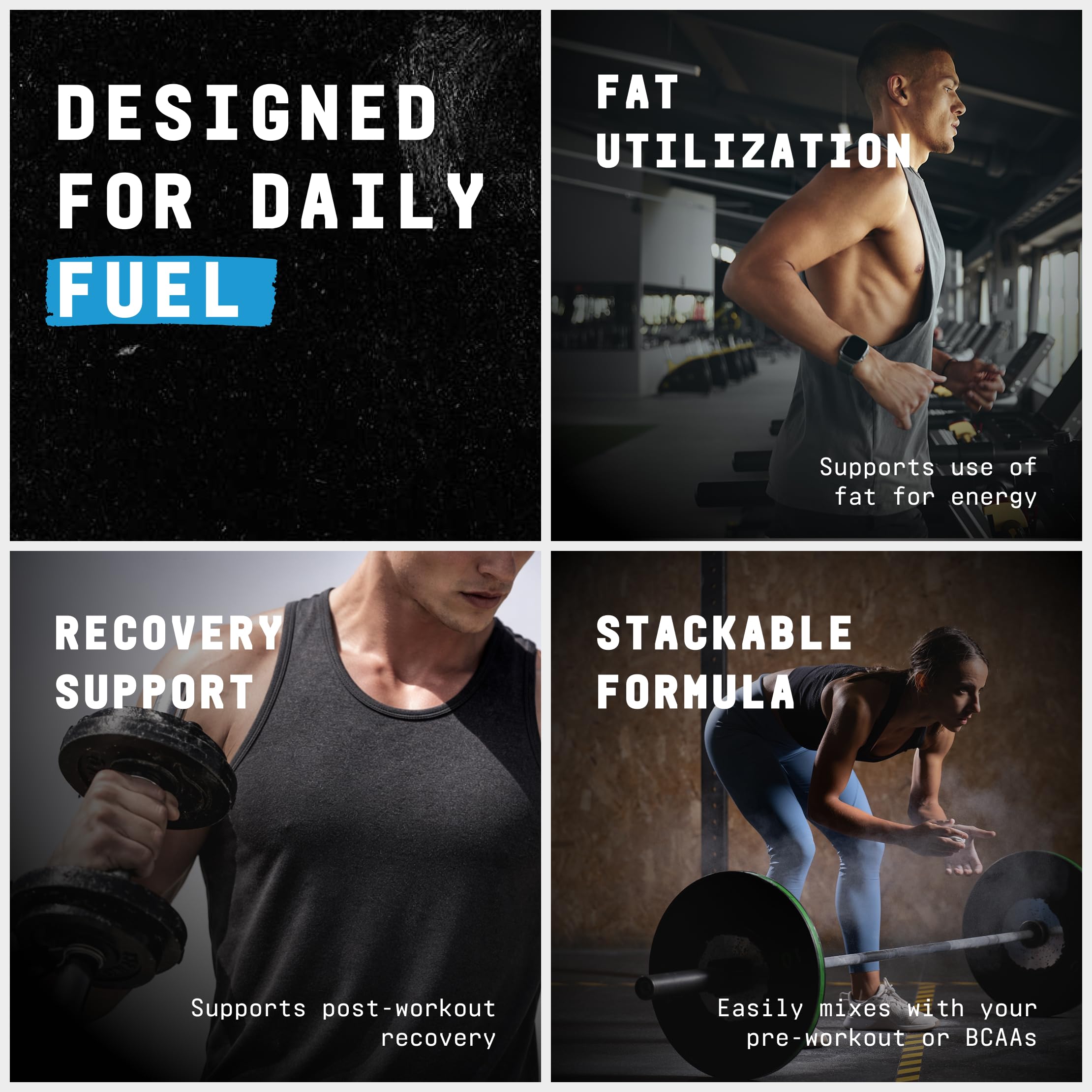 Beyond Raw L-Carnitine Powder | Fatty Acid Metabolism


