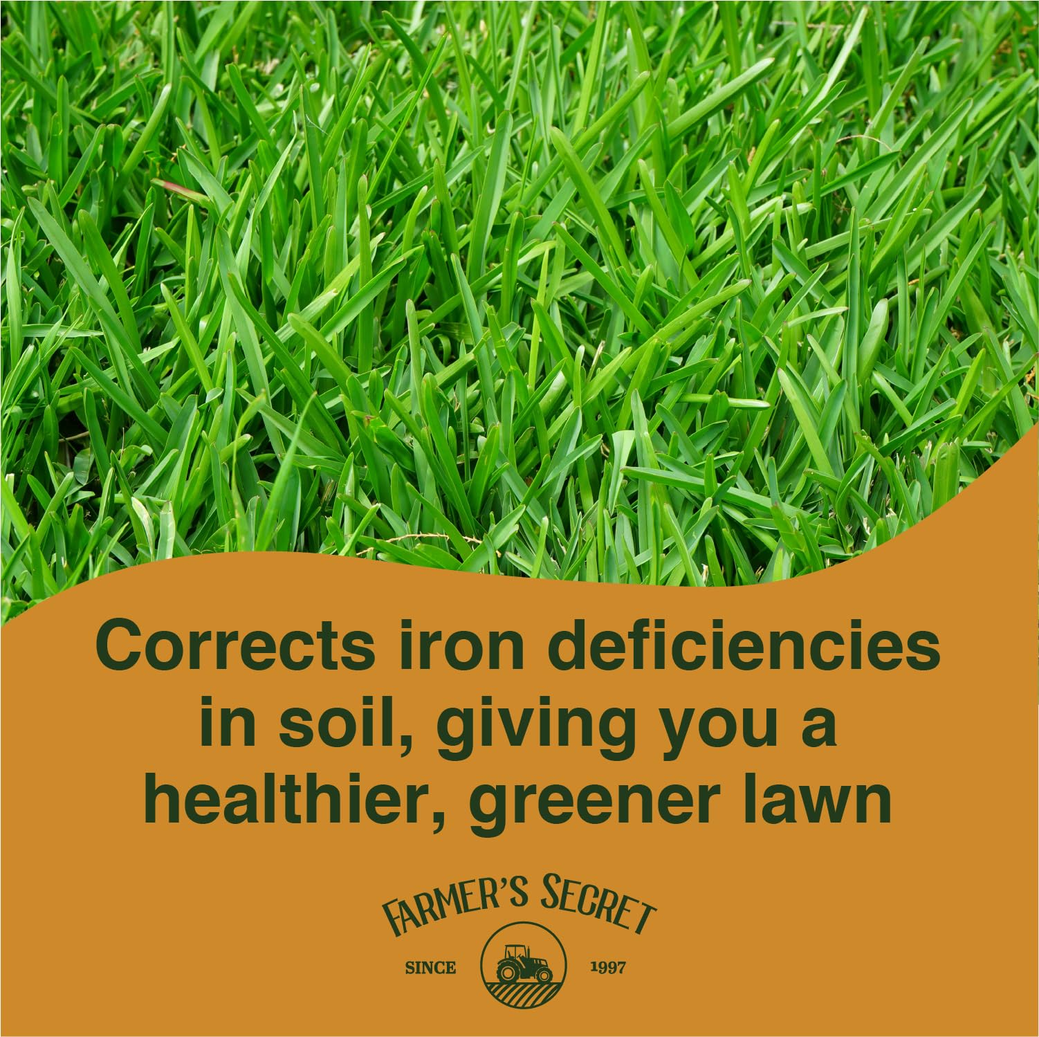 Farmer’s Secret Chelated Liquid Iron for Lawns | Shop Now

