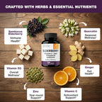 Elderberry Immune Support Capsules with Vitamin C and Zinc

