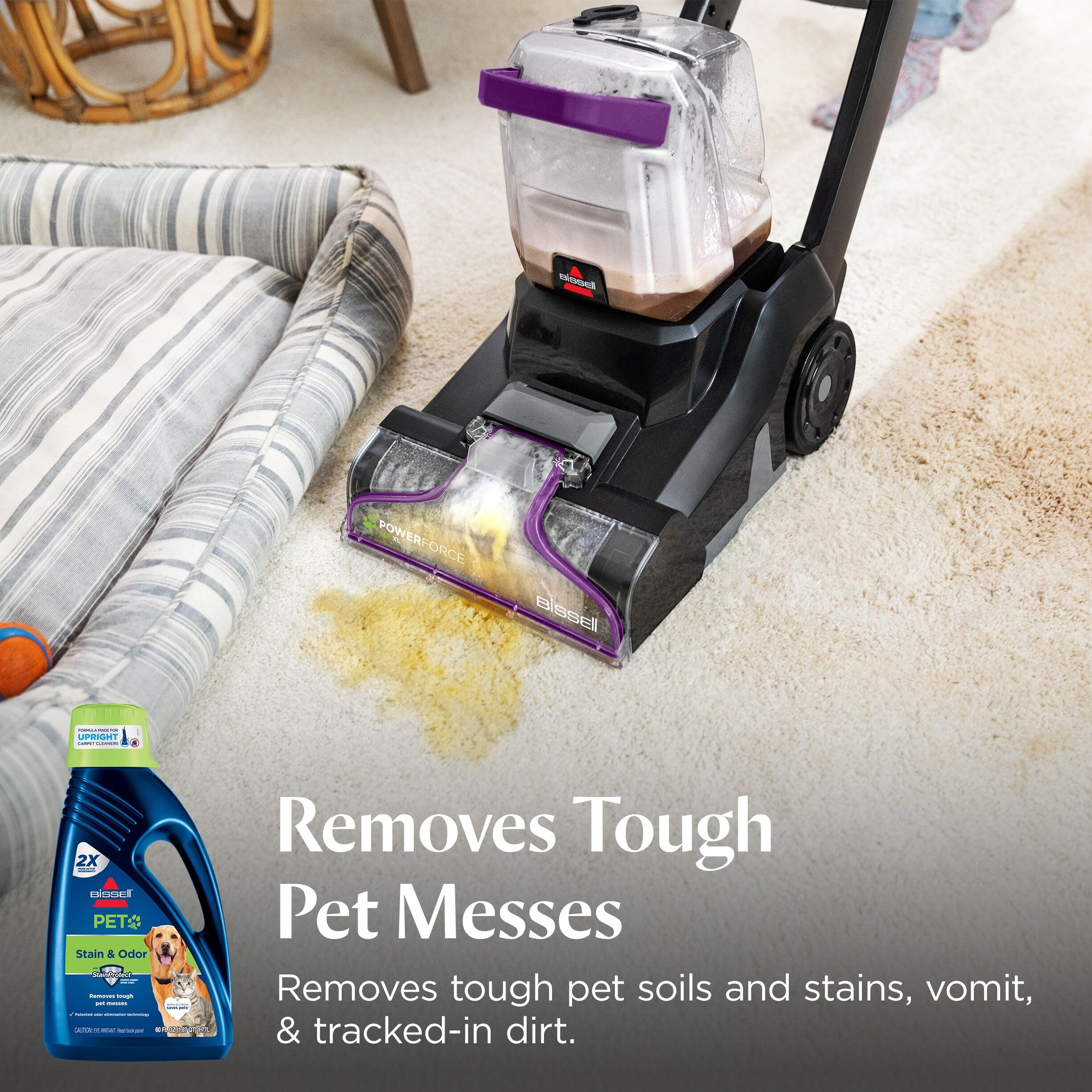BISSELL Pet Stain & Odor Full Size Machine Formula


