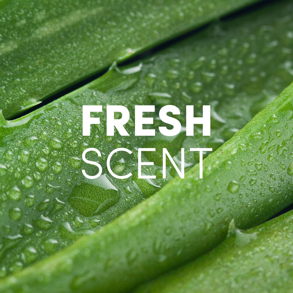 Clean Revolution Hand Sanitizer Refill - Aloe & Vitamin E

