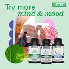 ZHOU Neuro-Peak Brain Support | Memory & Focus

