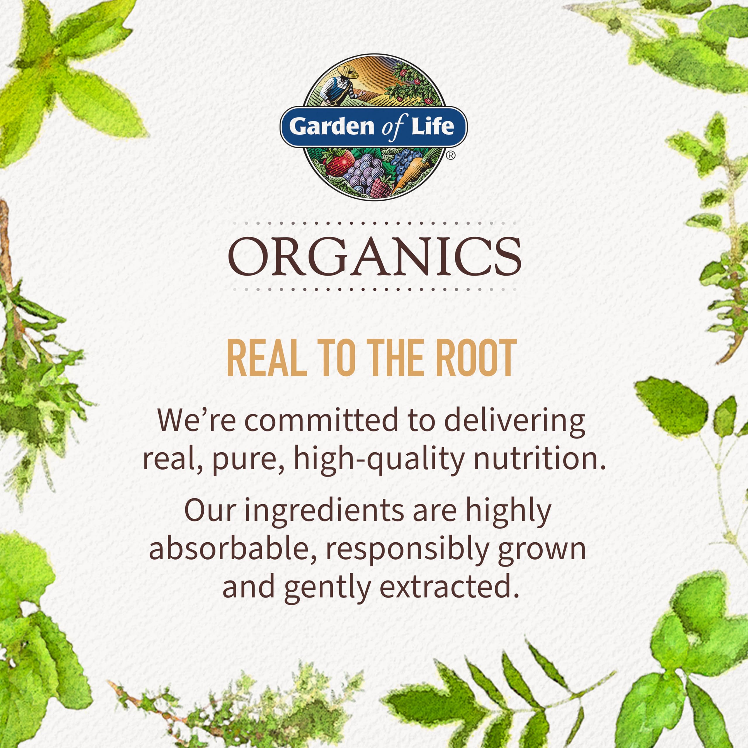 Gummies Garden of Life Organics Men 40+ Berry | Organic

