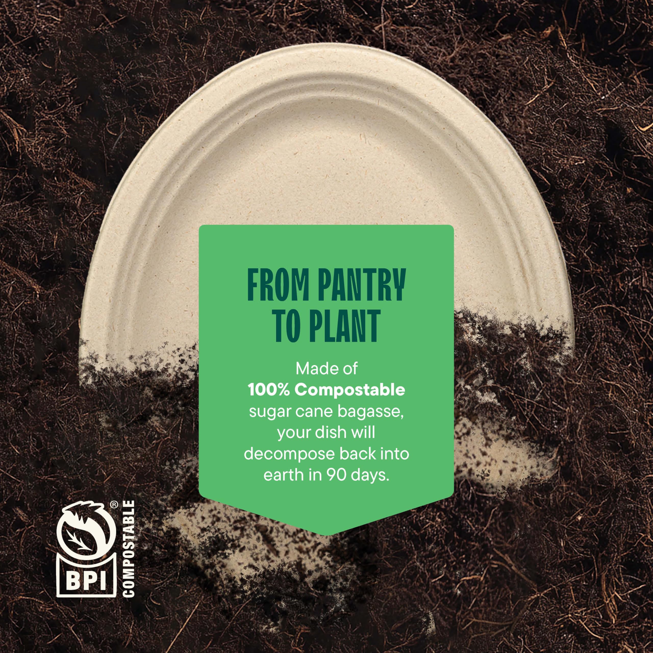 Bagasse Compostable Dinner Plates | Heavy-Duty Eco

