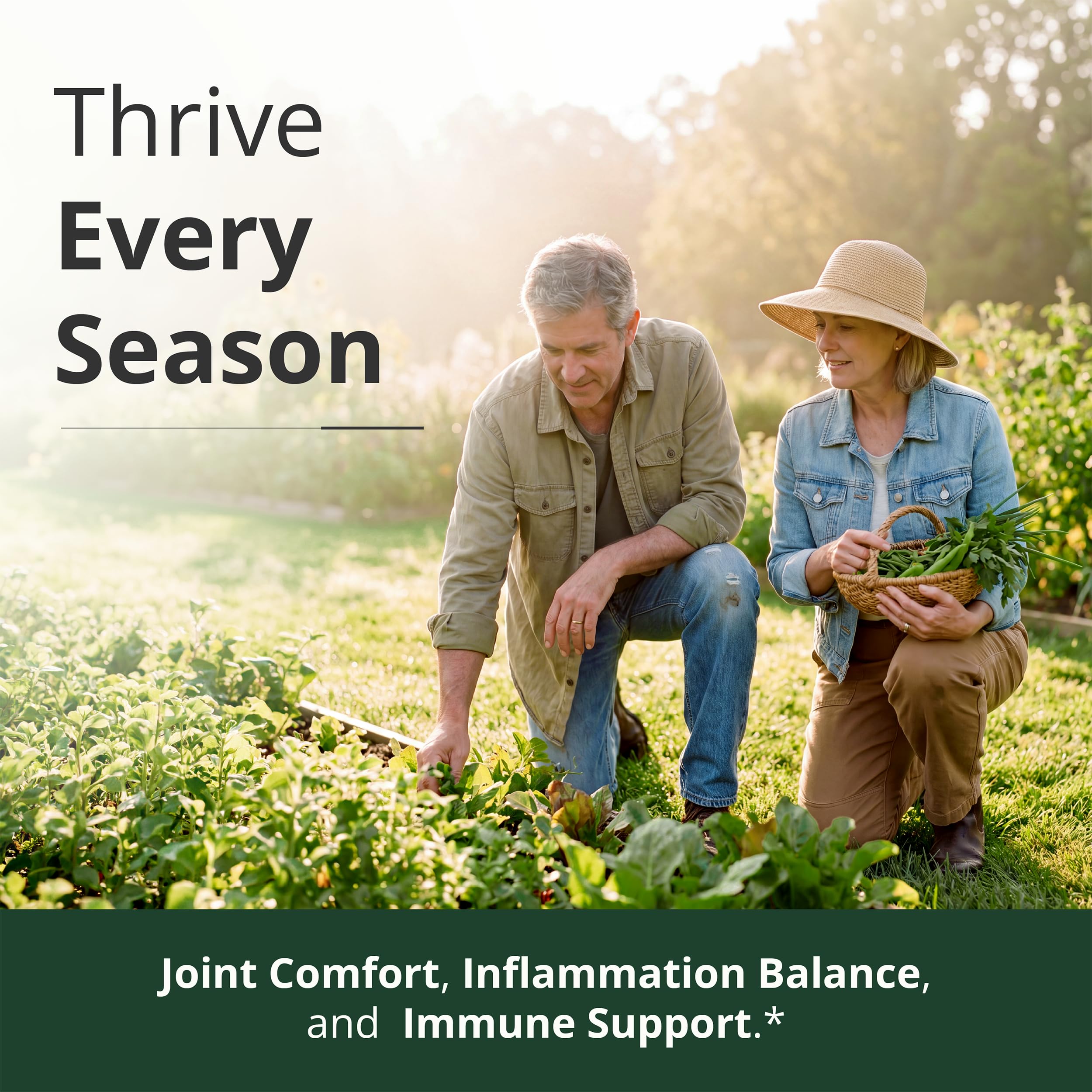 Quercetin with Bromelain Turmeric Curcumin Supplement

