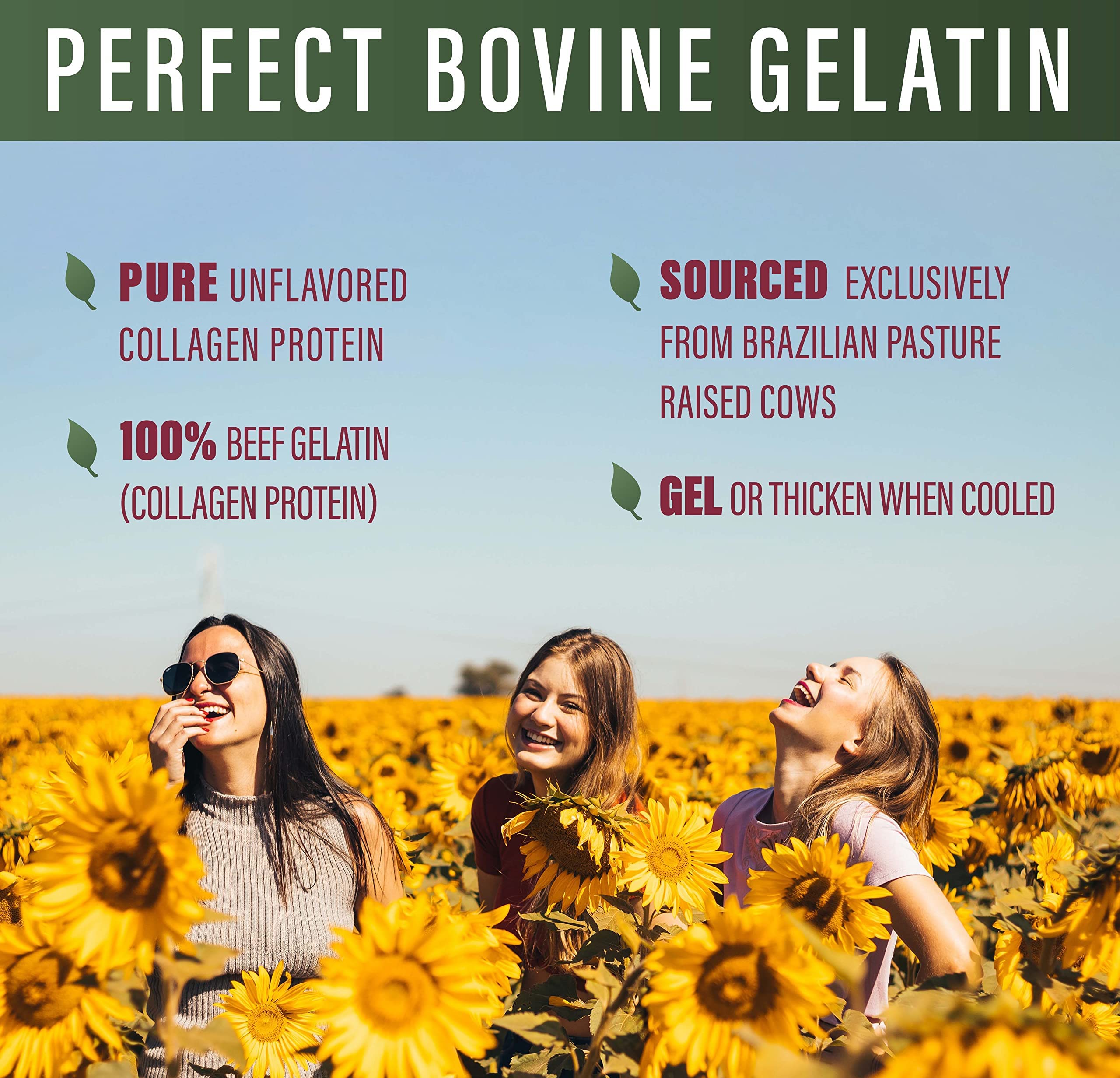 Perfect Supplements Gelatin Collagen Protein for Joints

