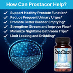 Prostacor Prostate Health Supplement - Non-GMO Vegan

