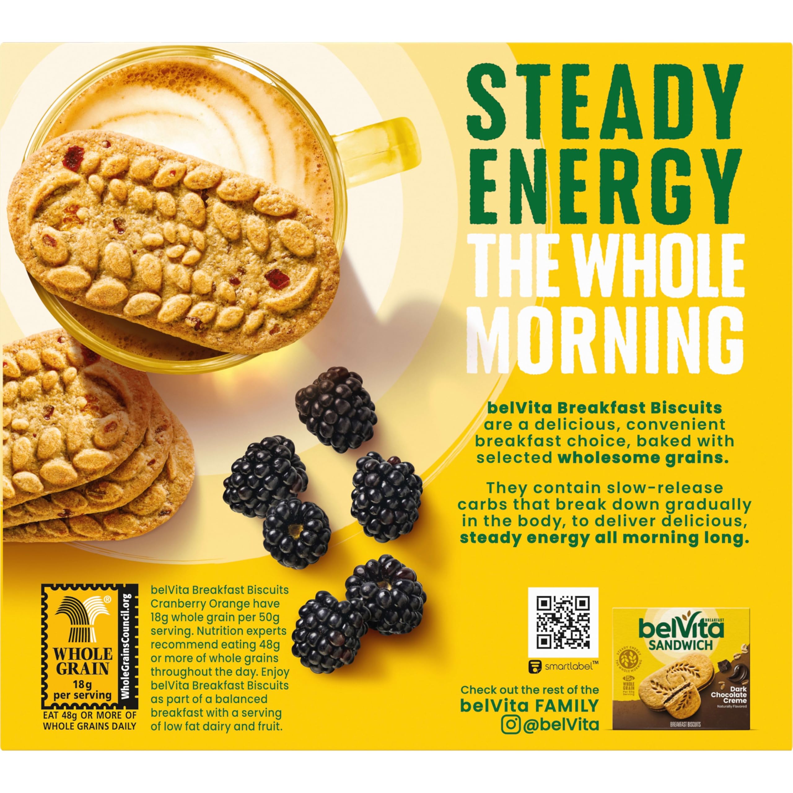 belVita Breakfast Bars - Wholesome Whole Grain Energy

