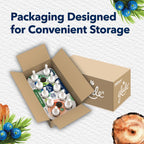 Glade PlugIns Refills Scented Oil for Air Fresheners

