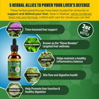 Rejuvica VitaLiver Liver Detox Drops | Alcohol-Free Liquid

