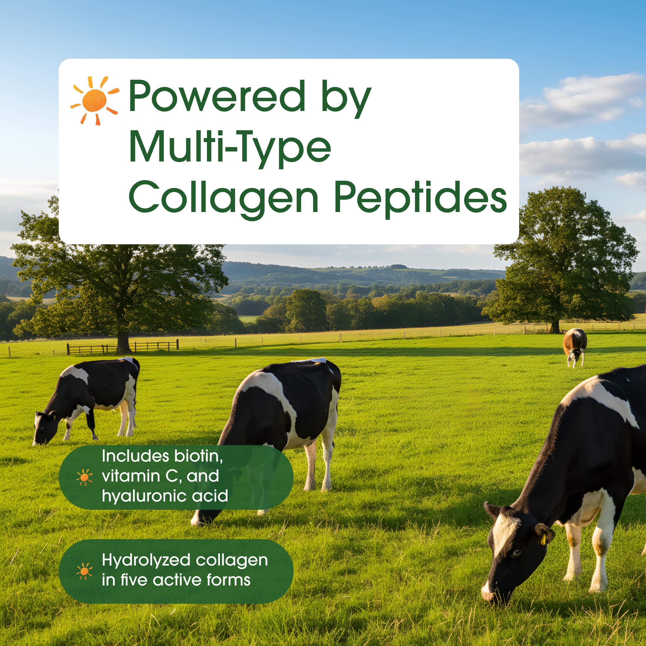NatureBell Collagen Protein Powder for Skin & Joints

