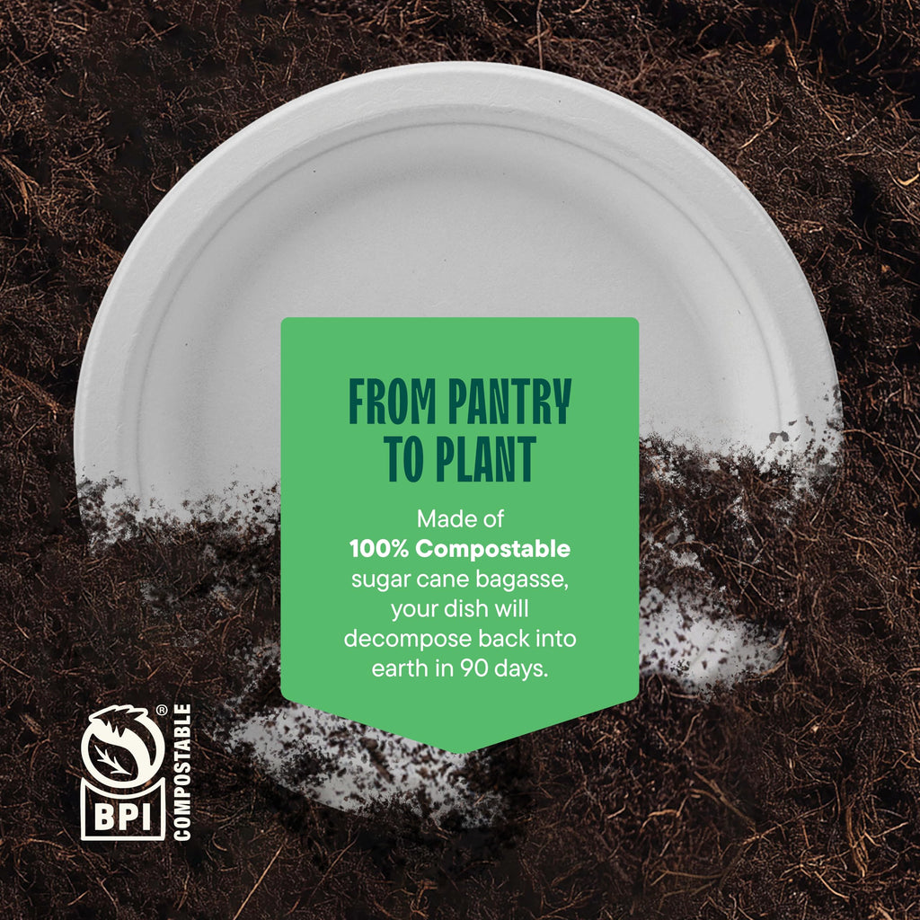Stack Man Compostable Plates – Heavy-Duty Disposable

