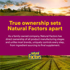 Natural Factors Oil of Oregano Liquid for Immune Support

