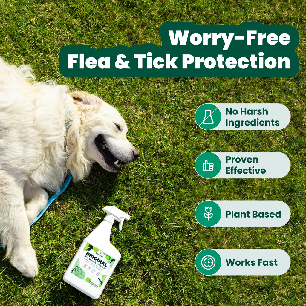 Cedarcide Original Cedar Oil Bug Spray | Indoor Pest

