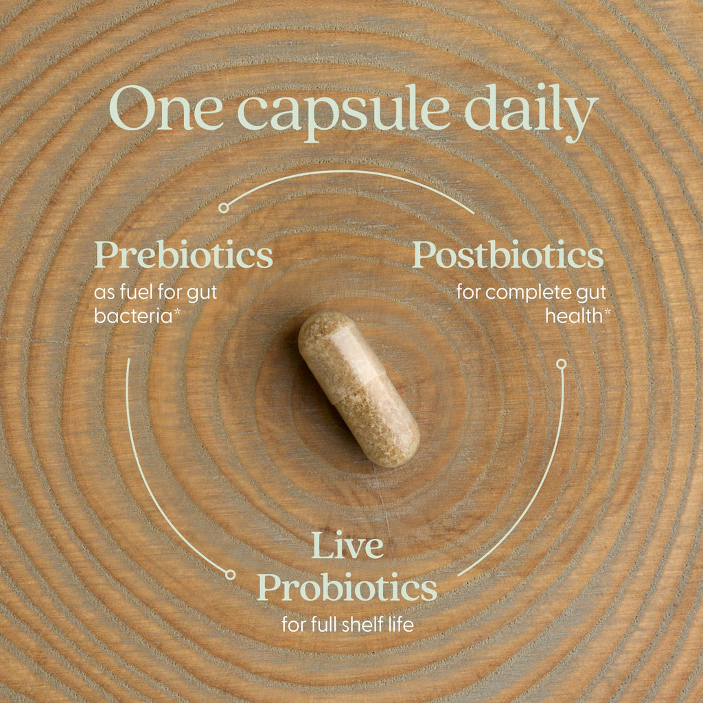 New Chapter All-Flora Probiotic for Digestive Health

