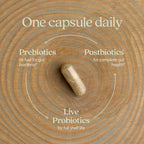New Chapter All-Flora Probiotic for Digestive Health

