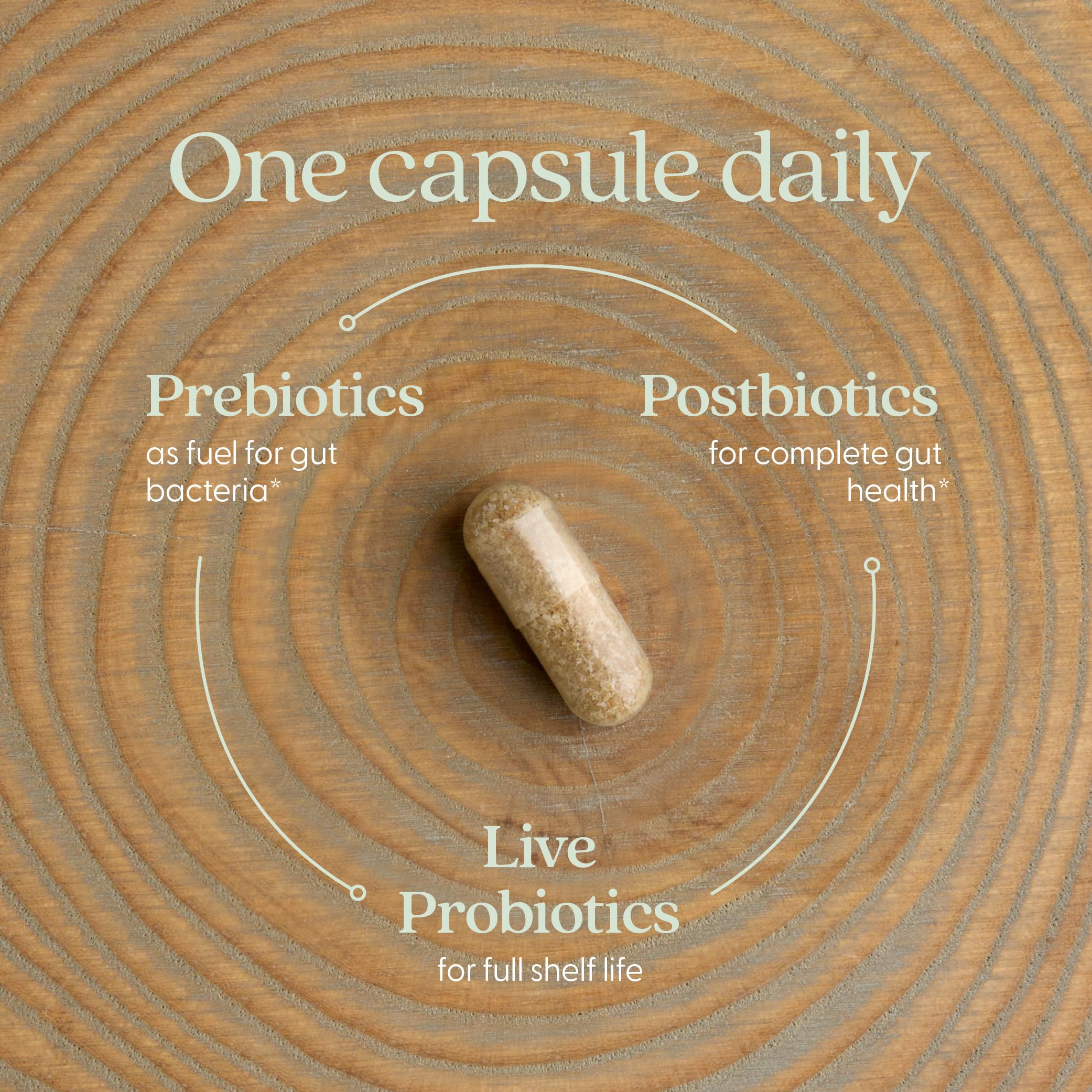 New Chapter All-Flora Probiotic for Digestive Health

