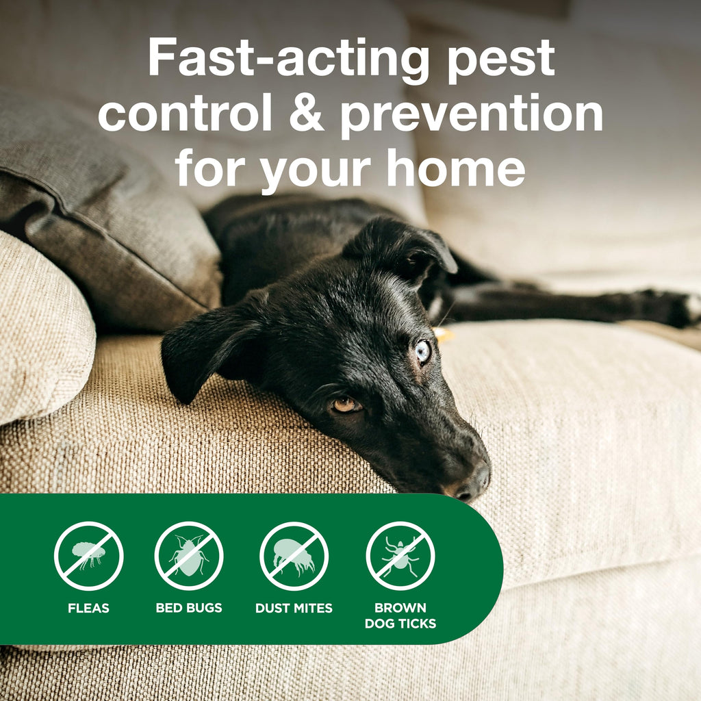 Advantage Spot & Crevice Spray Indoor Flea & Tick

