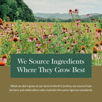 Gaia Herbs Maca Root Caffeine-Free Energy Support

