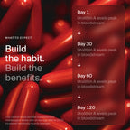 Timeline Mitopure Urolithin A Softgels | Cellular Health

